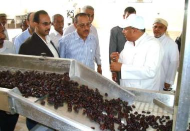 sayun_w-zera3a_made_dates_1.jpg