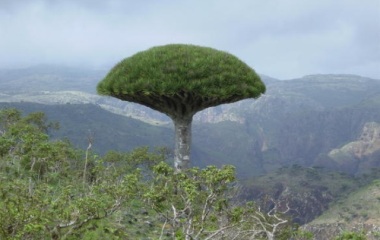 sogatra_20140918_4.jpg