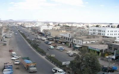 thamar_20140320_6.jpg