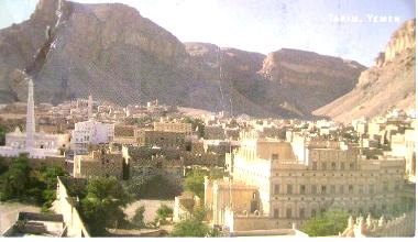 treem_20131024_3.JPG