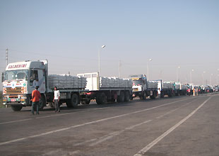 wfp133750.jpg